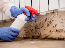 Best Forensic Mold Investigation  in Freeport, TX